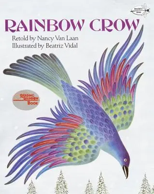 Tęczowa wrona - Rainbow Crow