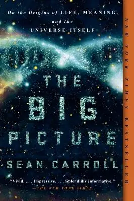 The Big Picture: O pochodzeniu życia, sensu i samego wszechświata - The Big Picture: On the Origins of Life, Meaning, and the Universe Itself