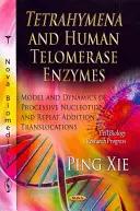 Enzymy tetrahymeny i ludzkiej telomerazy - model i dynamika procesywnych translokacji nukleotydów i powtórzeń - Tetrahymena & Human Telomerase Enzymes - Model & Dynamics of Processive Nucleotide & Repeat Addition Translocations