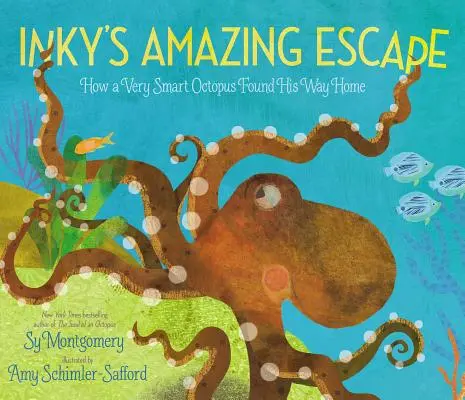 Niesamowita ucieczka Inky'ego: Jak bardzo inteligentna ośmiornica znalazła drogę do domu - Inky's Amazing Escape: How a Very Smart Octopus Found His Way Home