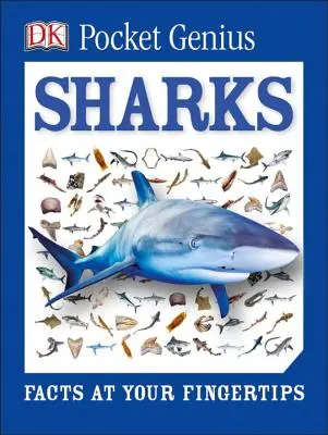 Pocket Genius: Rekiny: Fakty na wyciągnięcie ręki - Pocket Genius: Sharks: Facts at Your Fingertips