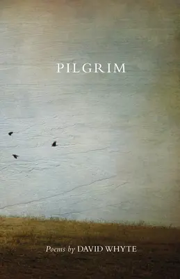 Pielgrzym (poprawiony) (poprawiony) - Pilgrim (Revised) (Revised)