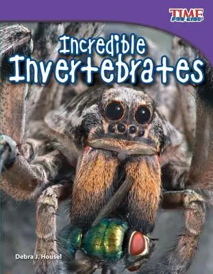 Niesamowite bezkręgowce - Incredible Invertebrates