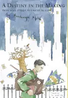 A Destiny in the Making: Od Wall Street do Unicefu w Afryce - A Destiny in the Making: From Wall Street to Unicef in Africa