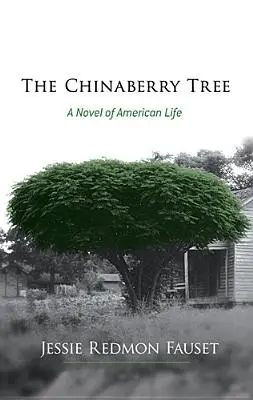 The Chinaberry Tree: Powieść o amerykańskim życiu - The Chinaberry Tree: A Novel of American Life