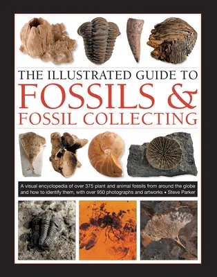 Ilustrowany przewodnik po skamieniałościach i kolekcjonowaniu skamieniałości: A Reference Guide to Over 375 Plant and Animal Fossils from Around the Globe and How to Identify - The Illustrated Guide to Fossils & Fossil Collecting: A Reference Guide to Over 375 Plant and Animal Fossils from Around the Globe and How to Identify