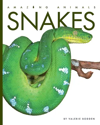 Węże - Snakes