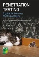 Testy penetracyjne: Przewodnik dla menedżerów biznesu i IT - Penetration Testing: A Guide for Business and It Managers