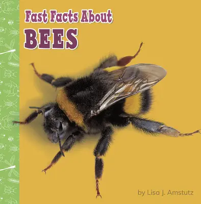 Szybkie fakty o pszczołach - Fast Facts about Bees