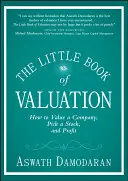 Mała księga wyceny: Jak wycenić firmę, wybrać akcje i osiągnąć zysk - The Little Book of Valuation: How to Value a Company, Pick a Stock, and Profit