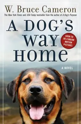 Psia droga do domu - A Dog's Way Home