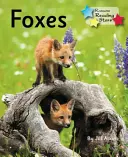 Lisy - Faza foniczna 5 - Foxes - Phonics Phase 5