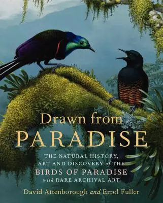 Drawn from Paradise: Historia naturalna, sztuka i odkrycie rajskich ptaków z rzadkimi archiwalnymi dziełami sztuki - Drawn from Paradise: The Natural History, Art and Discovery of the Birds of Paradise with Rare Archival Art