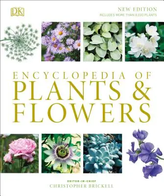 Encyklopedia roślin i kwiatów - Encyclopedia of Plants and Flowers