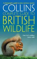 British Wildlife - Przewodnik fotograficzny po wszystkich popularnych gatunkach - British Wildlife - A Photographic Guide to Every Common Species