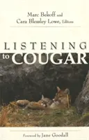 Słuchając Cougara - Listening to Cougar