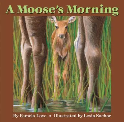 Poranek łosia - A Moose's Morning