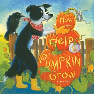 Jak pomóc dyni urosnąć - How to Help a Pumpkin Grow