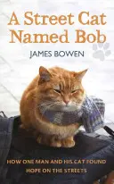 Street Cat Named Bob - Jak pewien człowiek i jego kot znaleźli nadzieję na ulicy - Street Cat Named Bob - How one man and his cat found hope on the streets