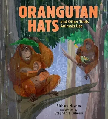 Kapelusze orangutanów i inne narzędzia używane przez zwierzęta - Orangutan Hats and Other Tools Animals Use