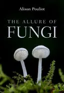 Urok grzybów - The Allure of Fungi