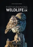 Fotografowanie dzikiej przyrody w Wielkiej Brytanii - Gdzie i jak robić świetne zdjęcia dzikiej przyrody? - Photographing Wildlife in the UK - Where and How to Take Great Wildlife Photographs