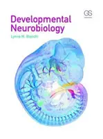 Neurobiologia rozwojowa - Developmental Neurobiology