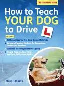 Jak nauczyć psa prowadzić samochód - How to Teach your Dog to Drive