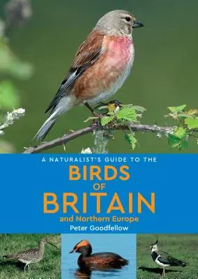 Przewodnik przyrodnika po ptakach Wielkiej Brytanii i Europy Północnej - A Naturalist's Guide to the Birds of Britain & Northern Europe