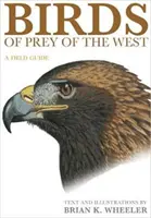 Ptaki drapieżne Zachodu: Przewodnik terenowy - Birds of Prey of the West: A Field Guide