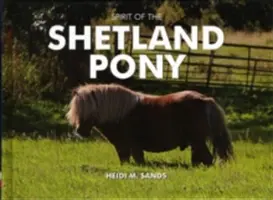 Duch kuca szetlandzkiego - Spirit of the Shetland Pony