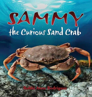 Ciekawski krab piaskowy Sammy - Sammy the Curious Sand Crab