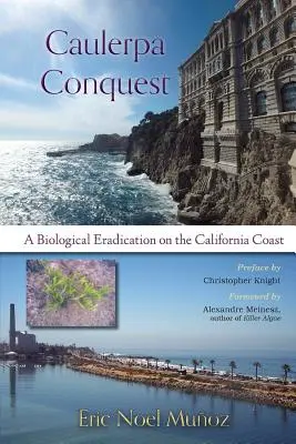 Caulerpa Conquest: Biologiczna eliminacja na wybrzeżu Kalifornii - Caulerpa Conquest: A Biological Eradication on the California Coast