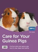 Opieka nad świnkami morskimi - Care for Your Guinea Pigs