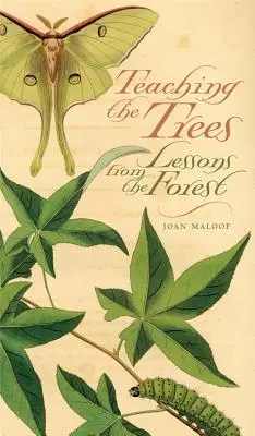 Teaching the Trees: Lekcje z lasu - Teaching the Trees: Lessons from the Forest
