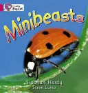 Minibeasts