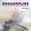 Ważki: Łapanie - Rozpoznawanie - Jak i gdzie żyją - Dragonflies: Catching - Identifying - How and Where They Live