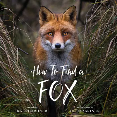 Jak znaleźć lisa - How to Find a Fox