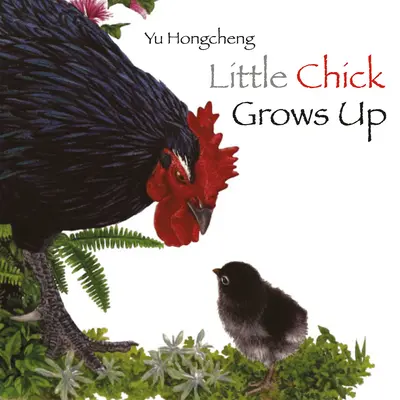 Mały kurczak dorasta - Little Chick Grows Up
