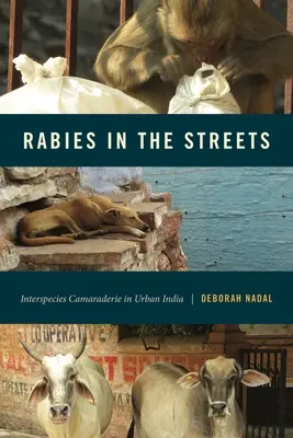 Wścieklizna na ulicach - Rabies in the Streets