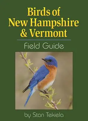 Przewodnik terenowy po ptakach New Hampshire i Vermont - Birds of New Hampshire & Vermont Field Guide