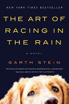 Sztuka ścigania się w deszczu - The Art of Racing in the Rain