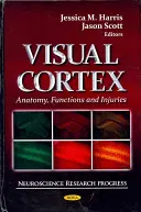 Kora wzrokowa - anatomia, funkcje i urazy - Visual Cortex - Anatomy, Functions & Injuries