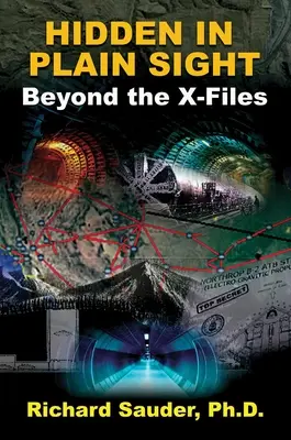 Ukryte na widoku: Poza Archiwum X - Hidden in Plain Sight: Beyond the X-Files