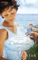 Driftwood Lane: Historia miłosna z Nantucket - Driftwood Lane: A Nantucket Love Story