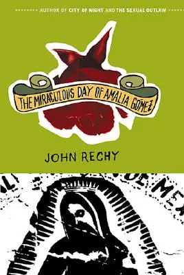 Cudowny dzień Amalii Gmez - The Miraculous Day of Amalia Gmez