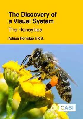 Odkrycie systemu wizualnego - pszczoła miodna - The Discovery of a Visual System - The Honeybee