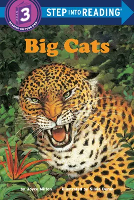 Wielkie koty - Big Cats