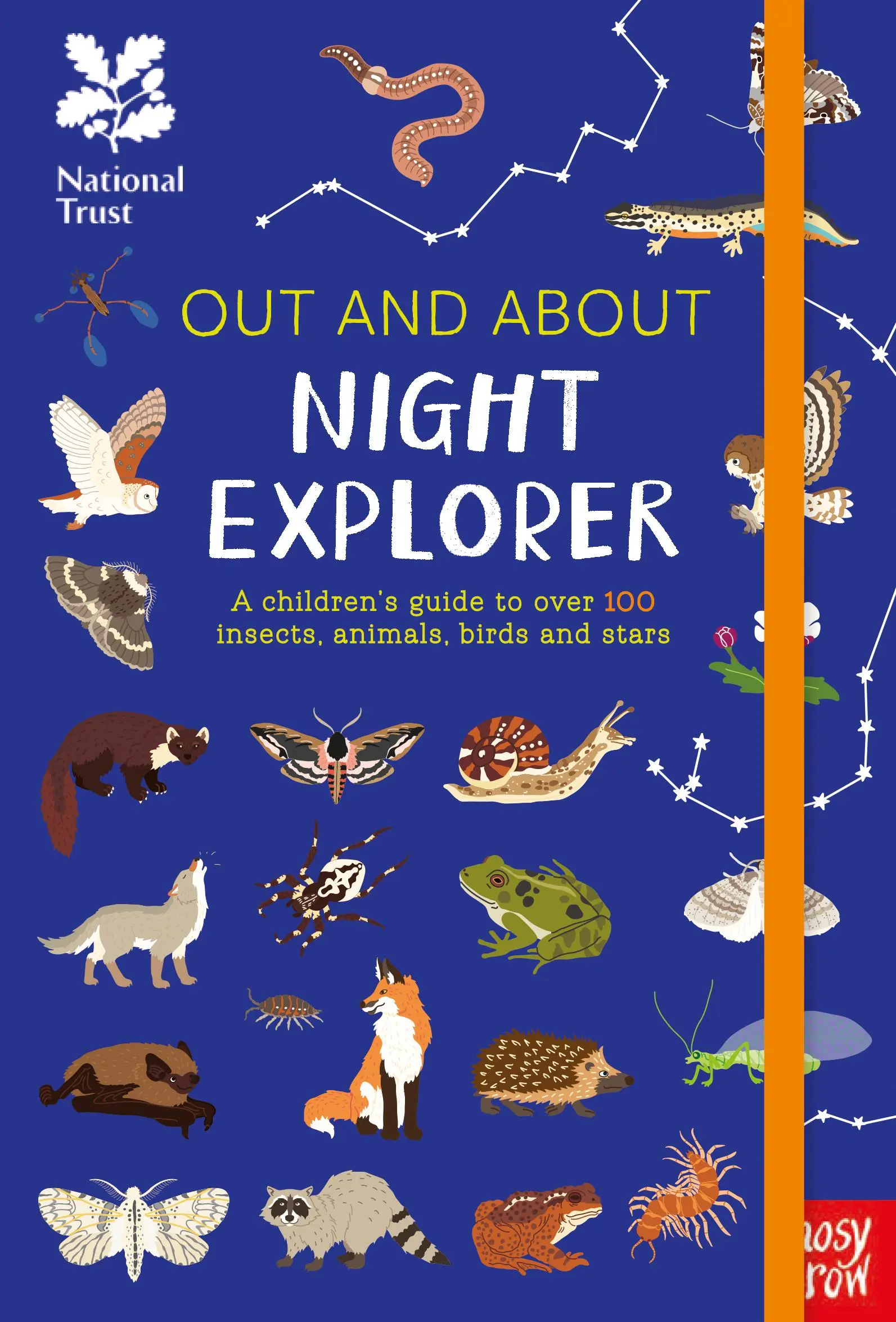 National Trust: Out and About Night Explorer - Przewodnik dla dzieci po ponad 100 owadach, zwierzętach, ptakach i gwiazdach - National Trust: Out and About Night Explorer - A children's guide to over 100 insects, animals, birds and stars