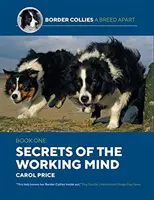 Sekrety pracującego umysłu - Secrets Of The Working Mind